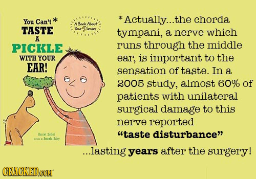 the You Can't *Actually...t chorda A Book Aoc TASTE Yur S Senses tympani, a nerve which A PICKLE runs through the middle WITH YOUR ear, is important t