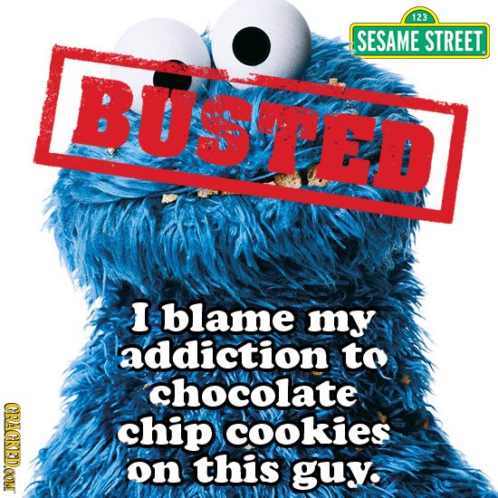 123 SESAME STREET BUSHED I blame my addiction to chocolate CRACKEDCON chip cookies on this guy
