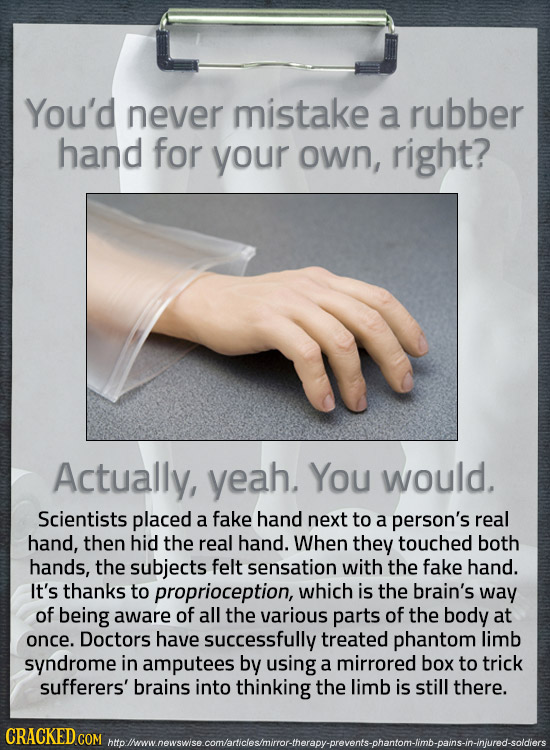 You'd never mistake a rubber hand for your own, right? Actually, yeah. You would. Scientists placed a fake hand next to a person's real hand, then hid