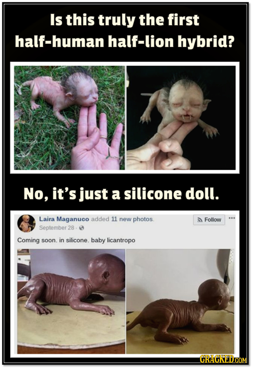 Is this truly the first half-human half-lion hybrid? No, it's just a silicone doll. Laira Maganuco added 11 new photos Follow September 28 Coming soon