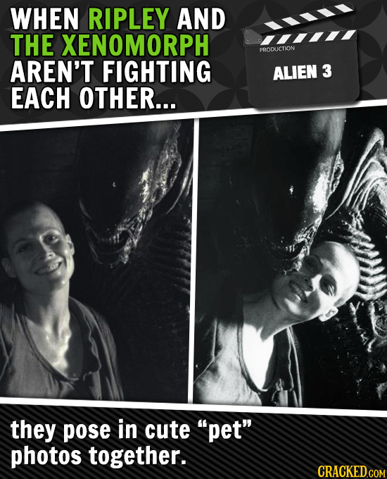 WHEN RIPLEY AND THE XENOMORPH PRODUCTION AREN'T FIGHTING ALIEN 3 EACH OTHER... they pose in cute pet photos together.