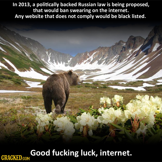 In 2013, a politically backed Russian law is being proposed, that would ban swearing on the internet. Any website that does not comply would be black