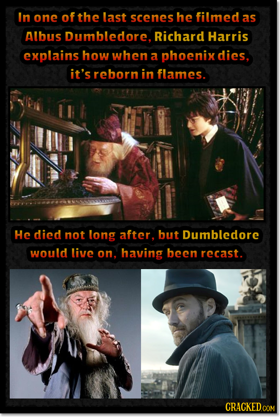 In one of the last scenes he filmed as Albus Dumbledore, Richard Harris explains how when a phoenix dies, it's reborn in flames. He died not long afte