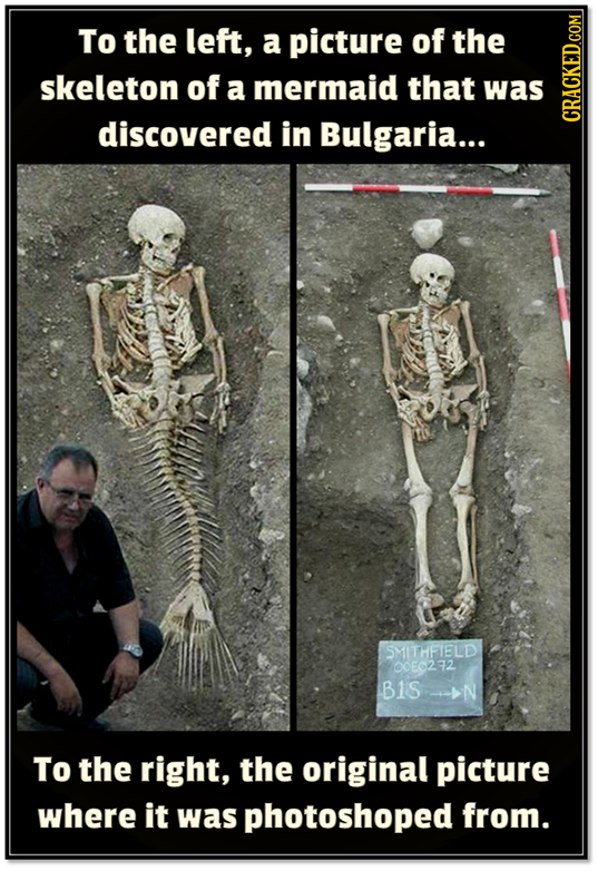 To the left, a picture of the skeleton of a mermaid that was discovered in Bulgaria... CRAUIN SMTHFIELD 00E6272 B1S->N To the right, the original pict
