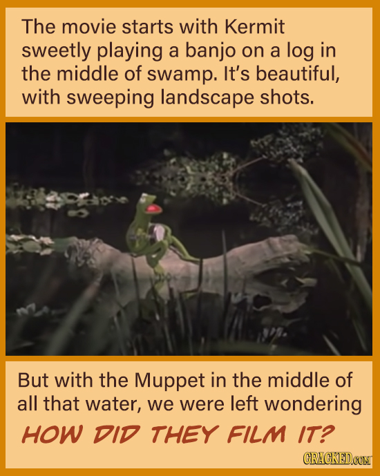 The movie starts with Kermit sweetly playing a banjo on a log in the middle of swamp. It's beautiful, with sweeping landscape shots. But with the Mupp