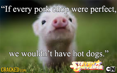 If every pork chop were perfect, we wouldn't have hot dogs. TEVEN NERSE CRACKED COM CN 
