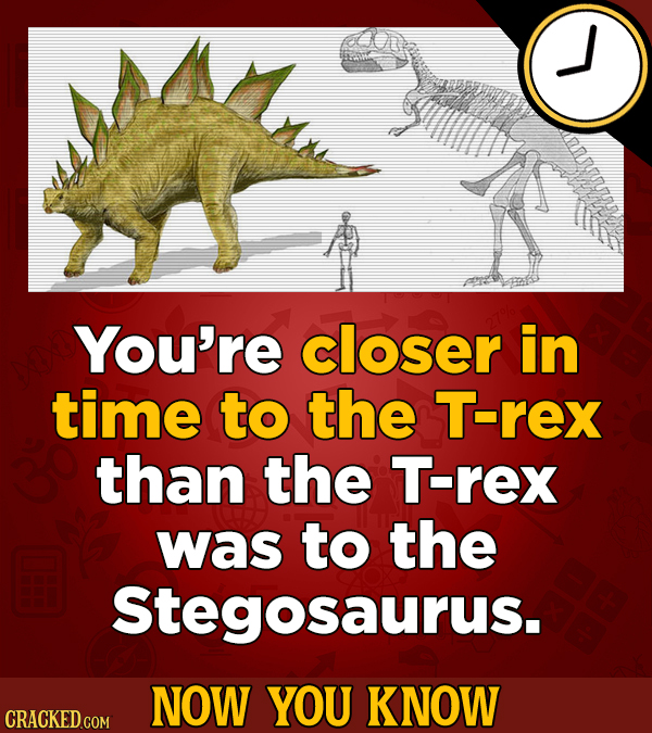 You're closer in time to the T-rex than the T-rex was to the Stegosaurus. NOW YOU KNOW CRACKED COM