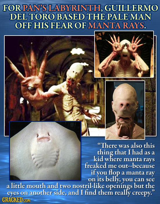 FOR PAN'S SLABYRINTH, GUILLERMO DEL TORO BASED THE PALE MAN OFF HIS FEAR OF MANTA RAYS. There was also this thing that I had as a kid where manta ray