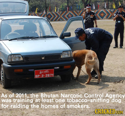 rod Axi BP:2-2671 As of 2011, the Bhutan Narcotic Control Agency was training at least one tobacco- tobacco- dog for raiding the homes of smokers. CRA