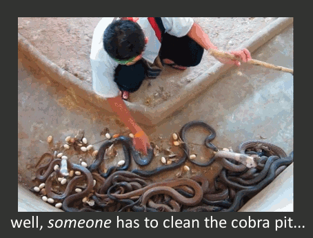 15 Terrifying Jobs It's Shocking Anyone Has the Balls to Do