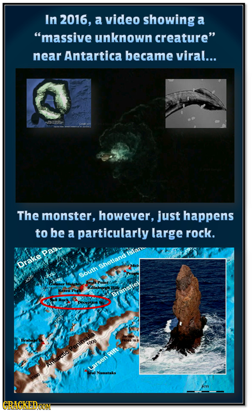 In 2016, a video showinga a massive unknown creature near Antartica became viral... De The monster, however, just happens to be a particularly large