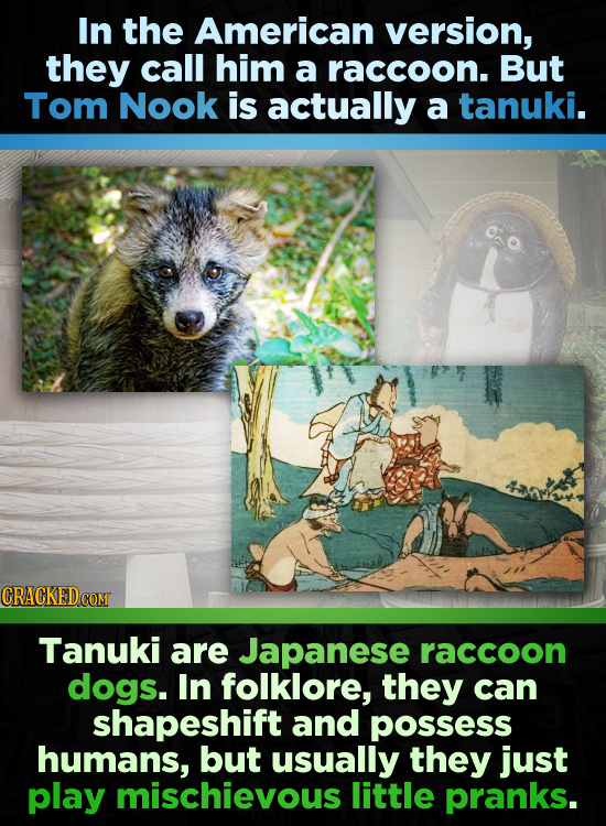 In the American version, they call him a raccoon. But Tom Nook is actually a tanuki. Tanuki are Japanese raccoon dogs. In folklore, they can shapeshif