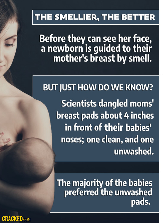 THE SMELLIER, THE BETTER Before they can see her face, a newborn is guided to their mother's breast by smell. BUT JUST HOW DO WE KNOW? Scientists dang