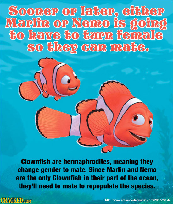 Soorer OP later, either Maplin O Nemo is going to have to turn female SO they Gan mate. Clownfish are hermaphrodites, meaning they change gender to ma