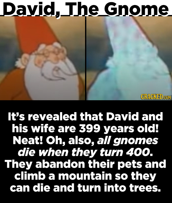 David,. The Gnome It's revealed that David and his wife are 399 years old! Neat! Oh, also, all gnomes die when they turn 400. They abandon their pets