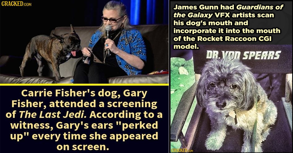 20 Celebrity Pet Facts