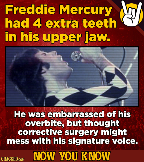 22 Rad Now-You-Know Facts About Your Favorite Bands And Musicians