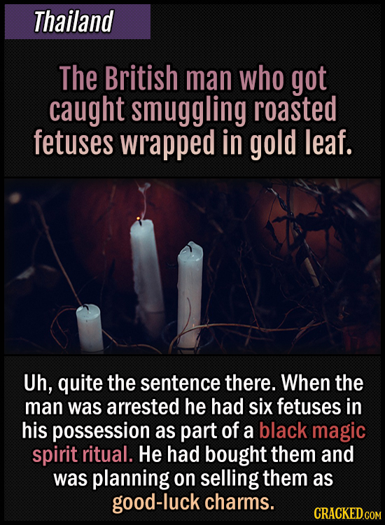 Thailand - The British man who got caught smuggling roasted fetuses wrapped in gold leaf - Uh, quite the sentence there. When the man was arrested he