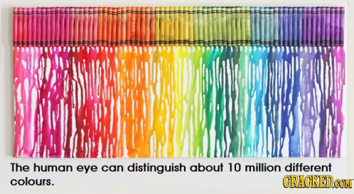 The human eye can distinguish about 10 million different colours. CRACKEDOG