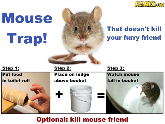 GRAGKODA Mouse That doesn't kill Trap! your furry friend Step 1: Step 2: Step 3: Put food Place on ledge Watch mouse in toilet roll above bucket fall