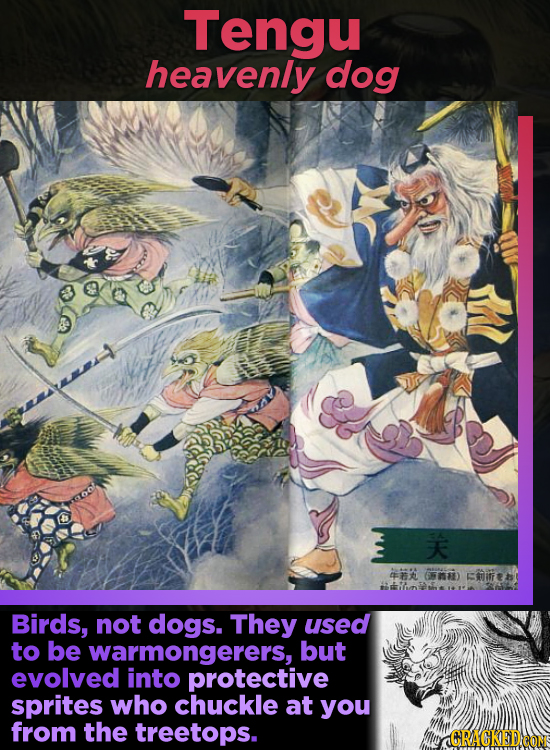Tengu heavenly dog 4 M KIE Birds, not dogs. They used to be warmongerers, but evolved into protective sprites who chuckle at you from the treetops. AC