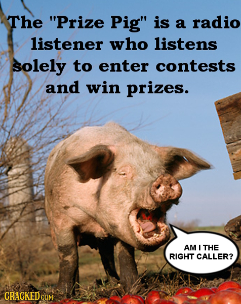 The Prize Pig is a radio listener who listens solely to enter contests and win prizes. AM I THE RIGHT CALLER? CRACKEDCO COM