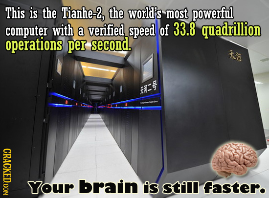 28 Eyebrow Arching Facts About The Human Body