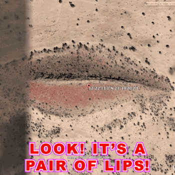 The 24 Most Berserk Photos Accidentally Taken By Google