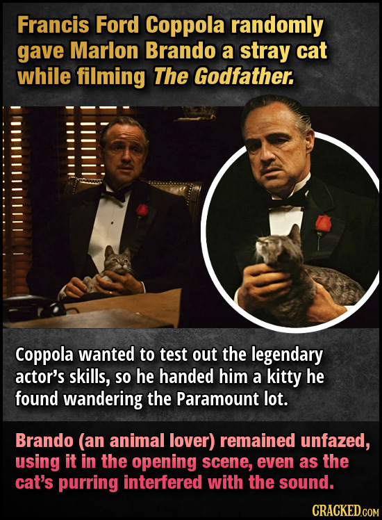 Francis Ford Coppola randomly gave Marlon Brando a stray cat while filming The Godfather. Coppola wanted to test out the legendary actor's skills, SO