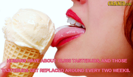 HUMANS HAVE ABOUT 10,000 TASTEBUDS, AND THOSE TASTEBUDS GET REPLACED AROUND EVERY TWO WEEKS.