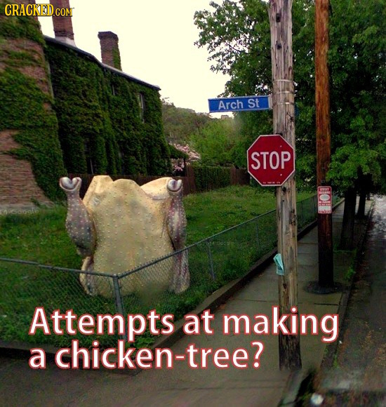 CRACKED COM Arch St STOP Attempts at making a chicken-tree?