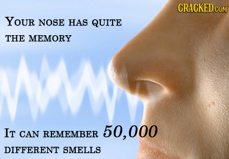 YOUR NOSE HAS QUITE THE MEMORY IT 50, 000 CAN REMEMBER DIFFERENT SMELLS