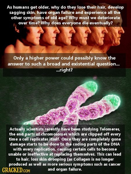 As huma get older, why do they lose their hair, develop sagging skin, have organ failure and experience all the other symptoms of old age? Why must we