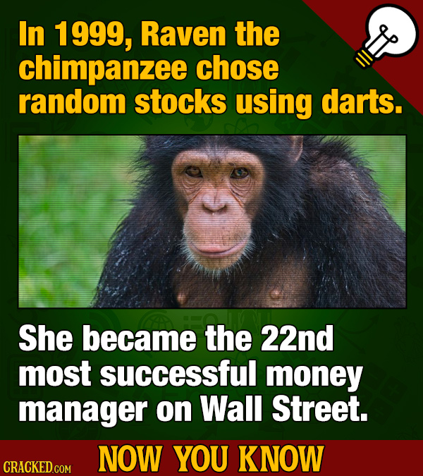 Thirteen 'Now You Know' Facts To Kickstart Your Movie and General Knowledge