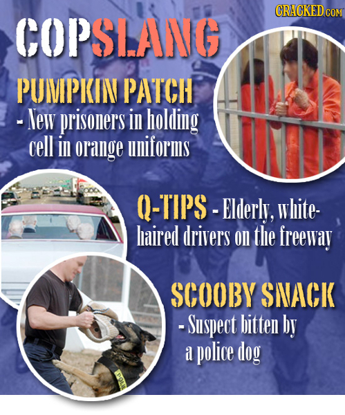 CRACKEDcO COPSLANG PUIVPKIN PATCH -New prisoners in holding cell in orange uniforms -TIPS-FIderly, white- haired drivers onl the freeway SCOOBY SNACK