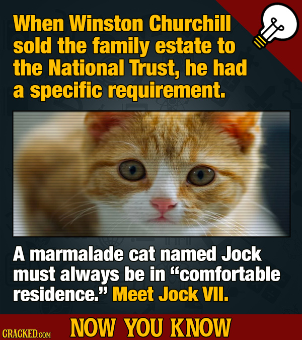 Thirteen 'Now You Know' Facts To Kickstart Your Movie and General Knowledge