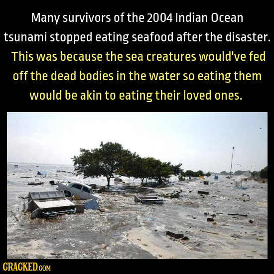 Many survivors of the 2004 Indian Ocean tsunami stopped eating seafood after the disaster. This was because the sea creatures would've fed off the dea