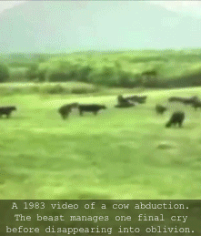 The 20 Most Eerily Convincing Paranormal Videos on YouTube