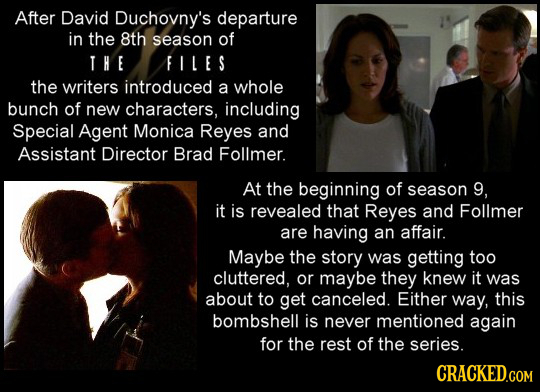 After David Duchovny's departure in the 8th season of THE FILES the writers introduced a whole bunch of new characters. including Special Agent Monica