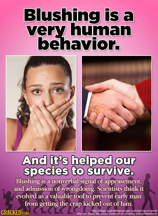 Blushing is a very human behavior. And it's helped our species to survive. Blushing is a nonverbal signal of appeasement, and admission of wrongdoing.