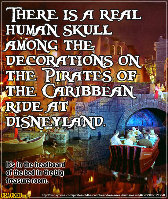 THERE IS A REAL HUMAN SKULL AMONG THE DECORATIONS ON THE PIRATES OF THE CARIBBEAN RIDE AT DISNEYLAND. It's in the headboard of the bed in the big trea
