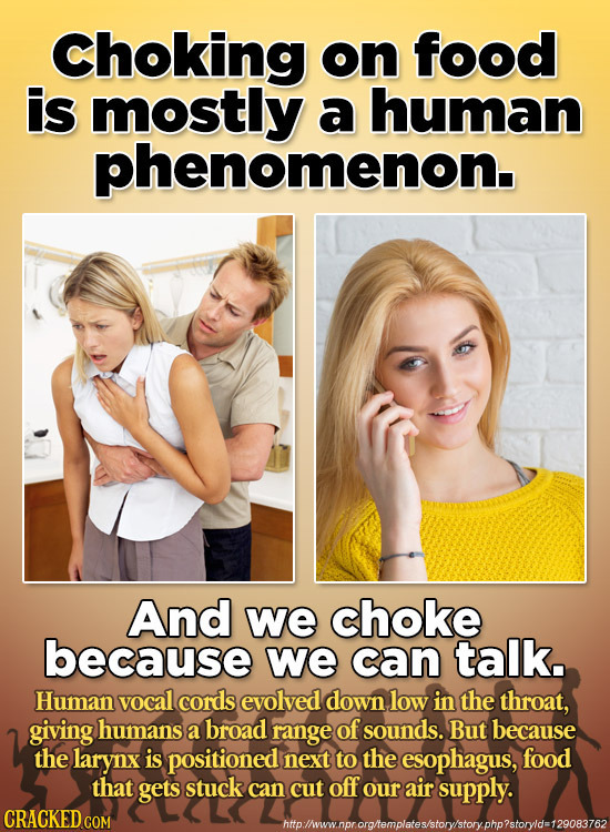 Choking on food is mostly a human phenomenon. And we choke because we can talk. Human vocal cords evolved down low in the throat, giving humans a broa