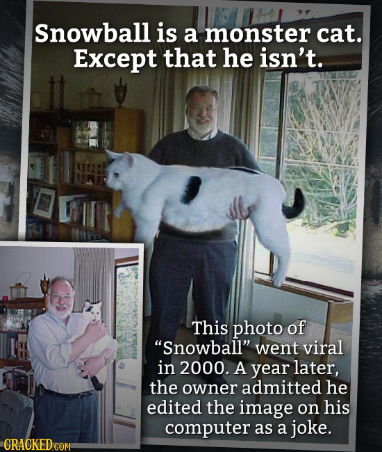 Snowball is a monster cat. Except that he isn't. This photo of Snowball went viral in 2000. A year later, the owner admitted he edited the image on