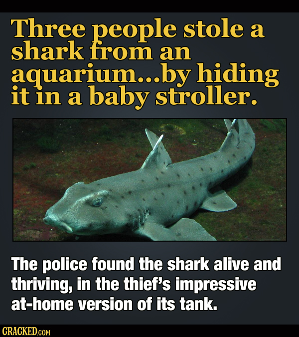 16 Real Heists That Are Stranger Than Fiction