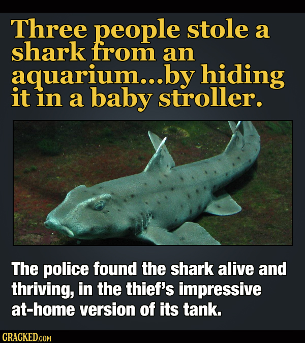 16 Real Heists That Are Stranger Than Fiction