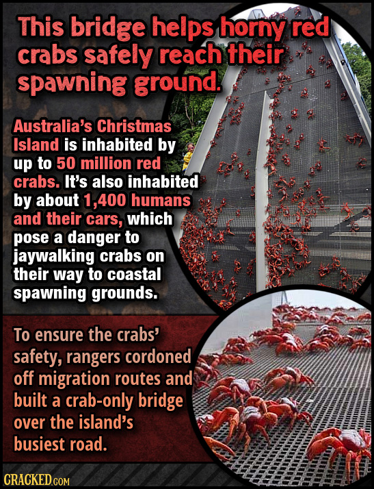 12 Ways We're Saving Animals (Using Sitcom Logic)