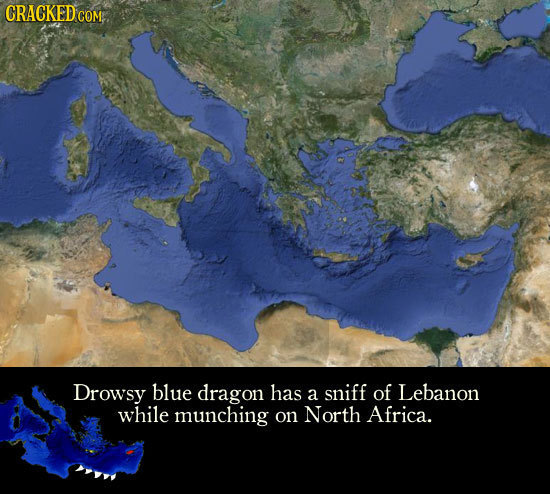 Drowsy blue dragon has a sniff of Lebanon while munching on North Africa. 