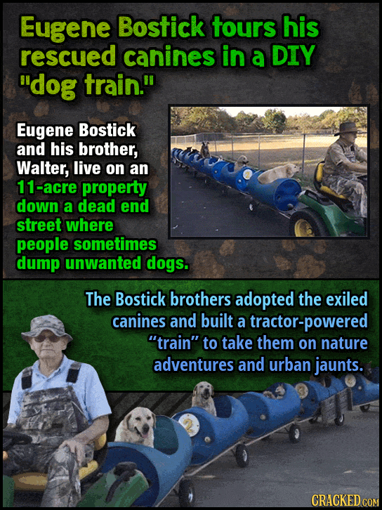 12 Ways We're Saving Animals (Using Sitcom Logic)