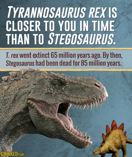 TYRANNOSAURUS REX IS CLOSER TO YOU IN TIME THAN TO STEGOSAURUS. T. rex went extinct 65 million years ago. By then, Stegosaurus had been dead for 85 mi