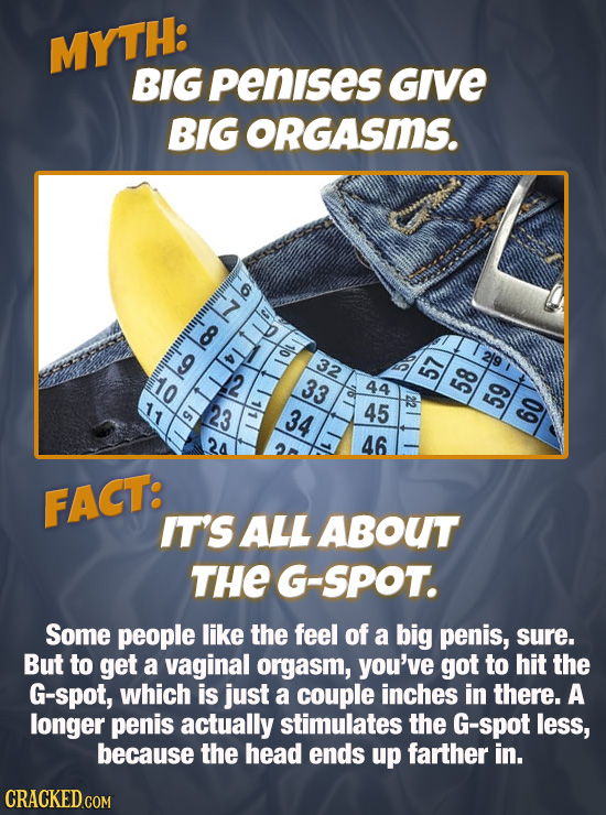 MYTH: BIG penises Give BIG ORGASmS. col 32 co 33 44 2 23 34 45 59 TalIlouio 60 24 46 FACT: IT'S ALL ABOUT THE G-SPOT. Some people like the feel of a b